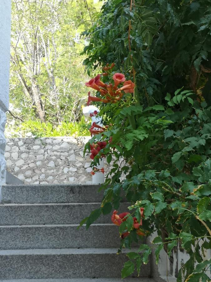 Stara Baška Apartments Bassi מראה חיצוני תמונה
